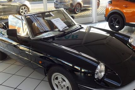 Alfa Romeo Spider