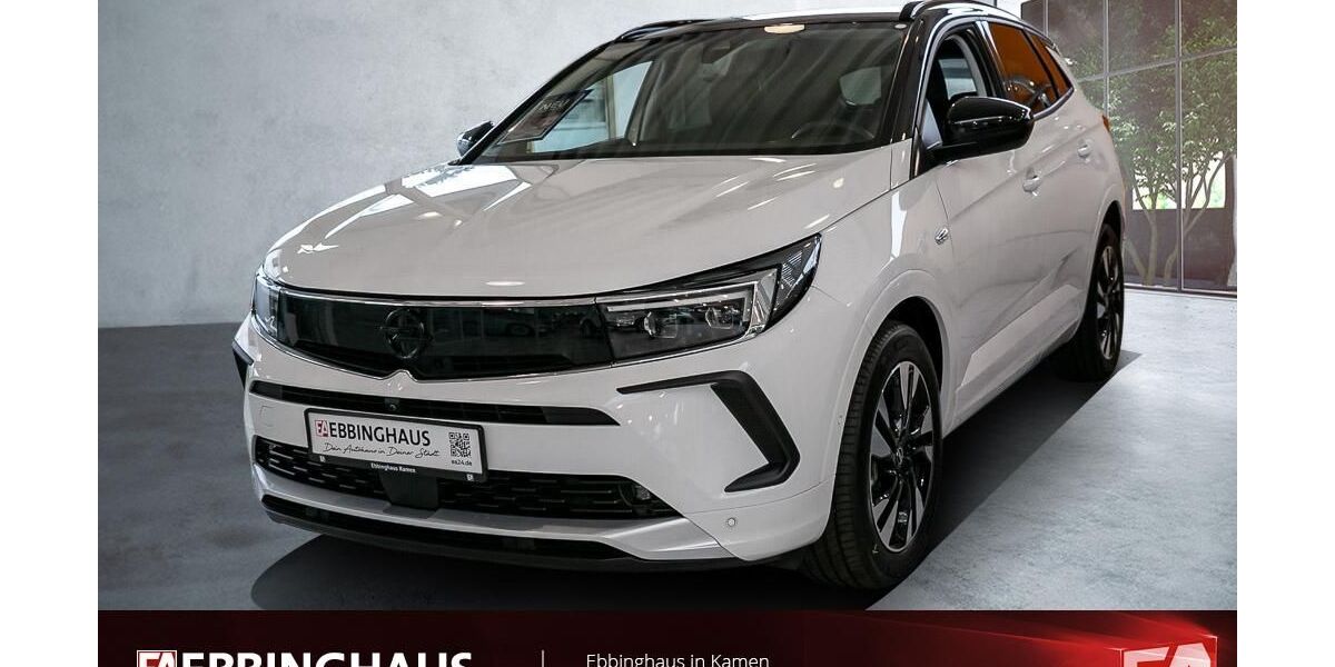 Opel Grandland (X) 20.853 km 19.499 &euro; Kamen 59174