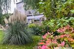 Mehrfamilienhaus, Wohnhaus Welver Scheidingen - 1 Zimmer, 269 m&sup2;, 275.000&euro; | Angebot:25845369