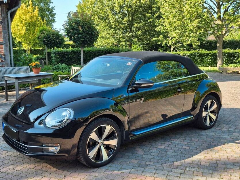 Beetle