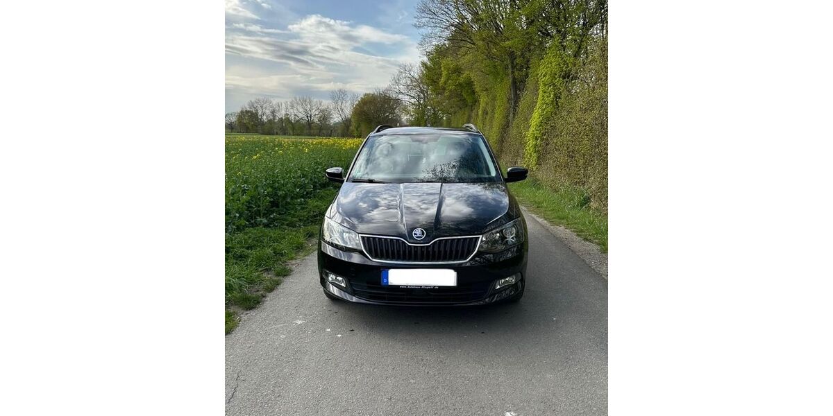 Skoda Fabia 98.000 km 10.490 &euro; Soest 59494