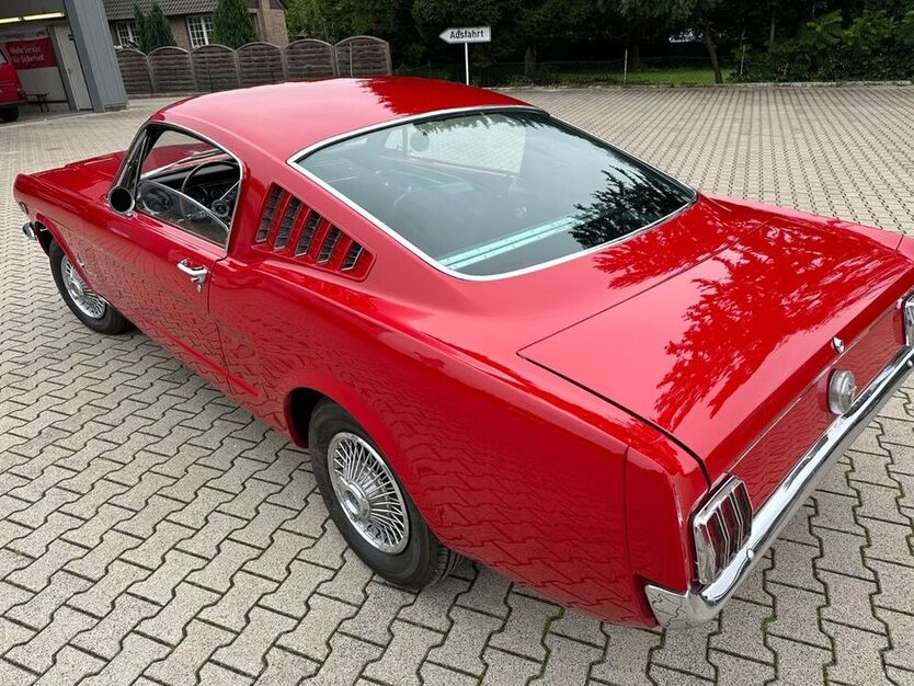 Mustang