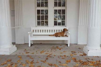 Gewerbeobjekt Bergkamen Rünthe - 220.000&euro; | Angebot:25534468