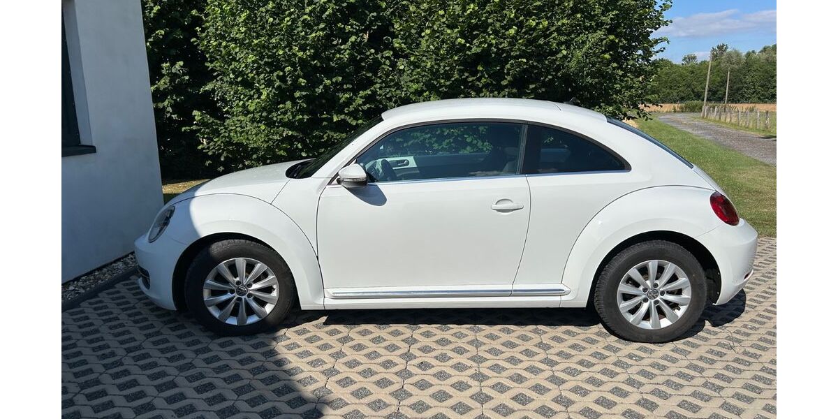 VW Beetle 136.239 km 6.950 &euro; Hamm 59077