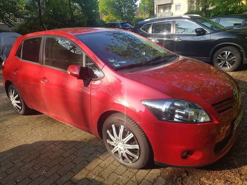 Auris