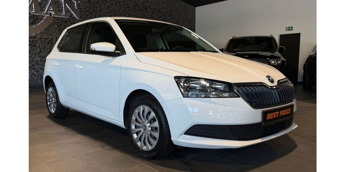 Skoda Fabia 47.083 km 9.990 &euro; Unna 59425