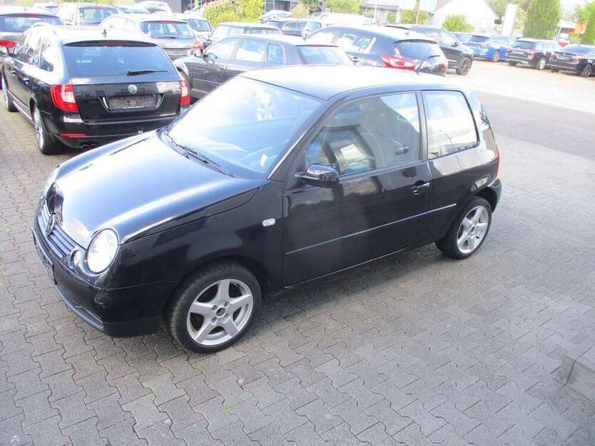 Lupo