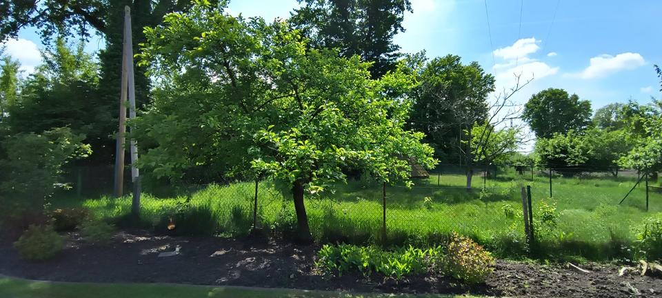 Einfamilienhaus Ennigerloh - 10 Zimmer, 250 m&sup2;, 650.000&euro; | Angebot:25380800