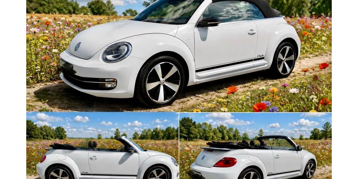 VW Beetle 48.000 km 16.000 &euro; Kamen 59174
