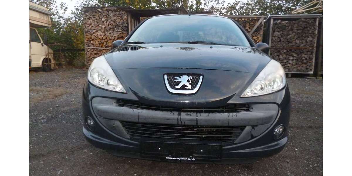 Peugeot 206 170.456 km 1.990 &euro; Oelde 59302