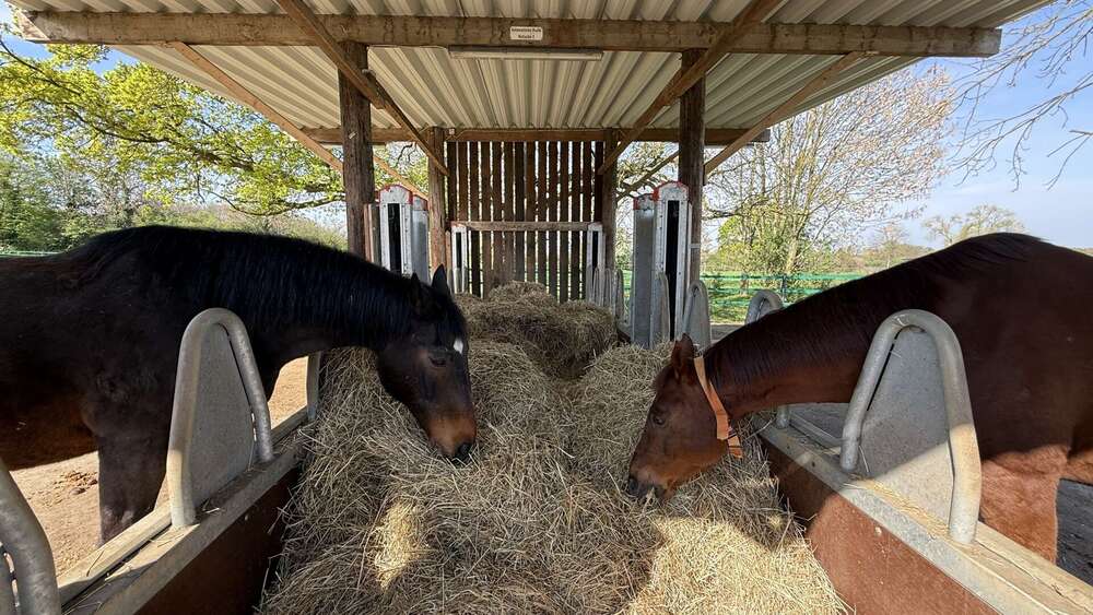 Einfamilienhaus Hamm - 5 Zimmer, 200 m&sup2;, 1.495.000&euro; | Angebot:26312220