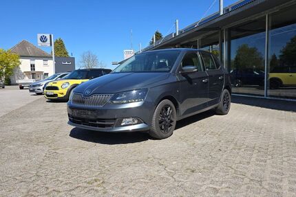 Skoda Fabia 113.864 km 10.800 &euro; Lippetal 59510
