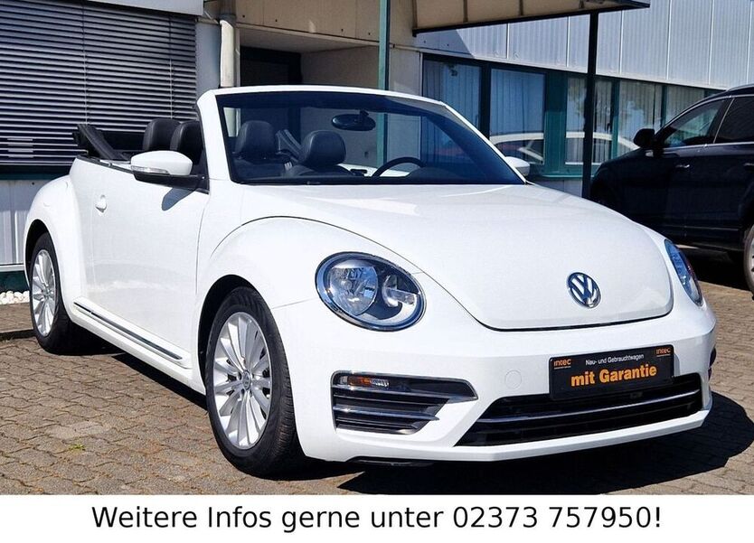 Beetle