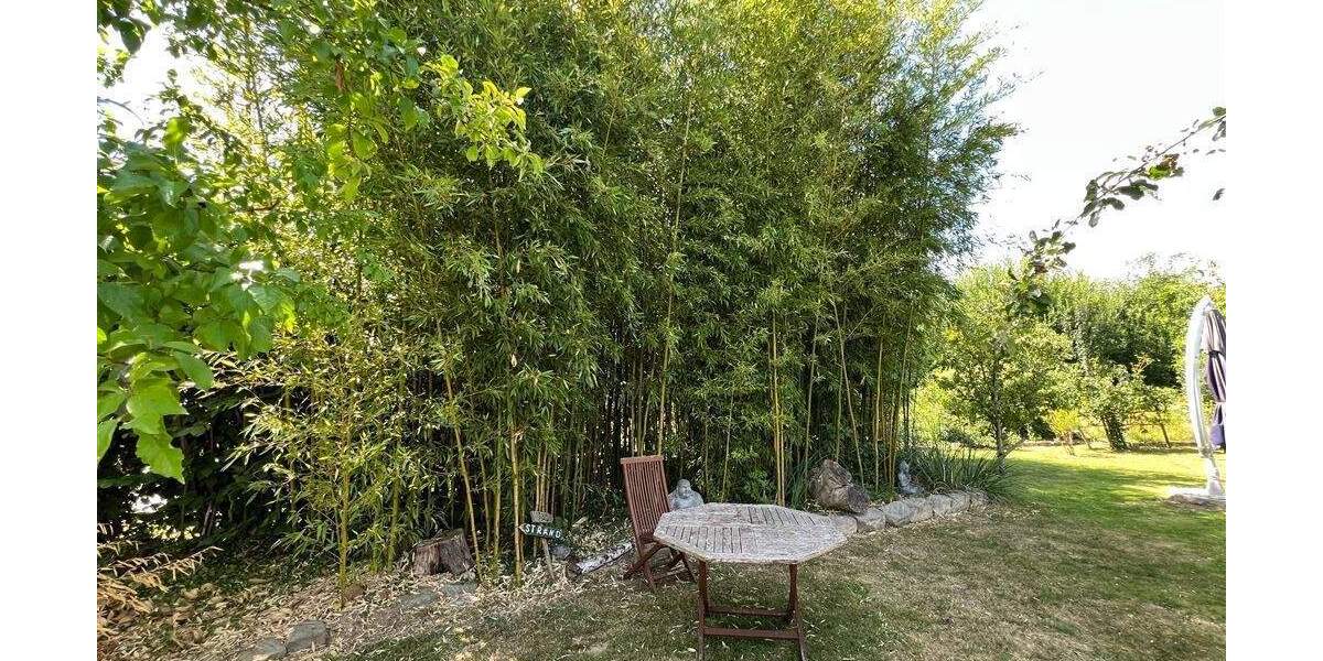 Saniertes, gemütliches Einfamilienhaus mit traumhaftem Garten in Lippetal-Schoneberg! 4 zimmer