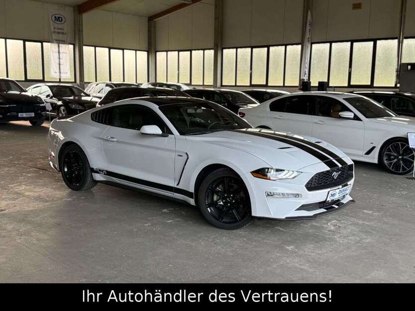 Mustang