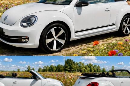 VW Beetle 48.000 km 16.000 &euro; Kamen 59174