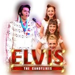 Oliver Steinhoff Elvis + The Candylikes