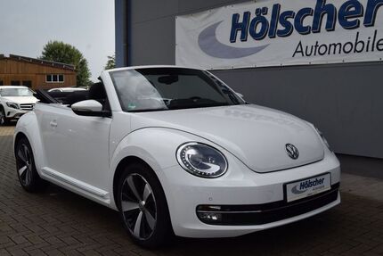 VW Beetle