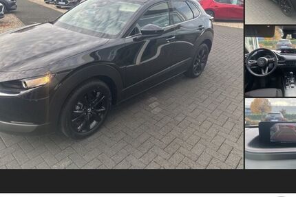 Mazda CX-30 10.792 km 25.490 &euro; Kamen 59174