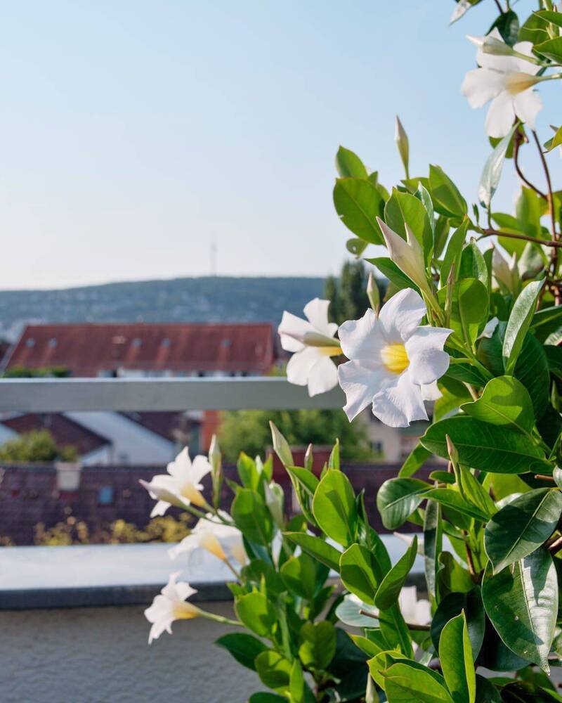 Über den Dächern der Stadt: Außergewöhnliche DG-Wohnung mit Terrasse und Blick über Stuttgart