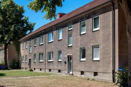 Wohnung Hamm Herringen - 3.5 Zimmer, 52 m&sup2;, 339&euro; | Angebot:26865010