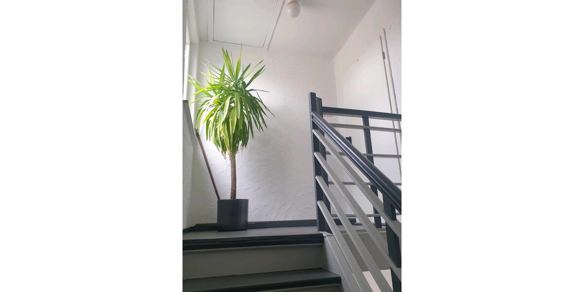 Dachgeschoßwohnung Hamm Berge - 2 Zimmer, 34 m&sup2;, 498&euro; | Angebot:25292002