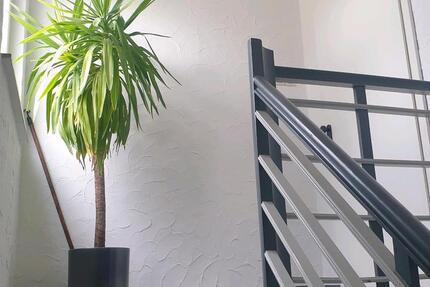 Wohnung Hamm Berge - 2 Zimmer, 34 m&sup2;, 498&euro; | Angebot:25292002