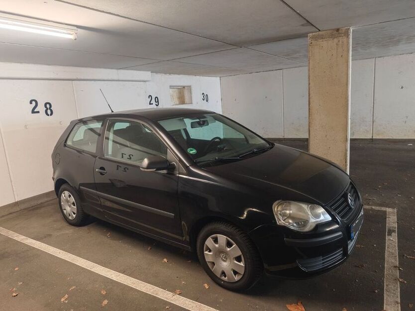 Polo