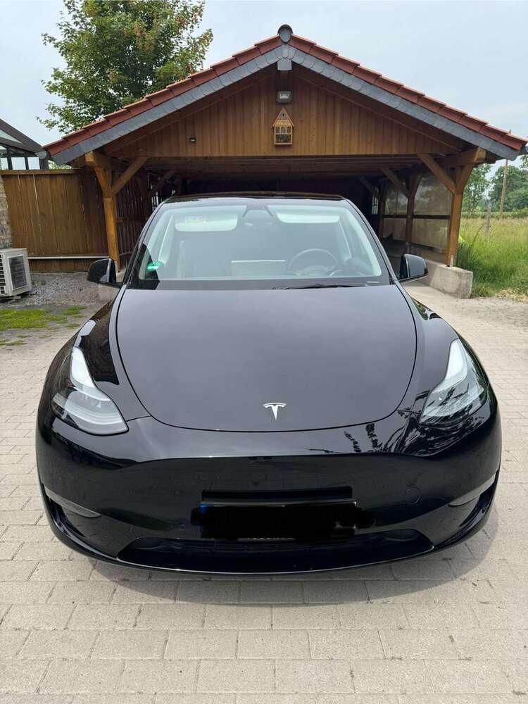 Model Y