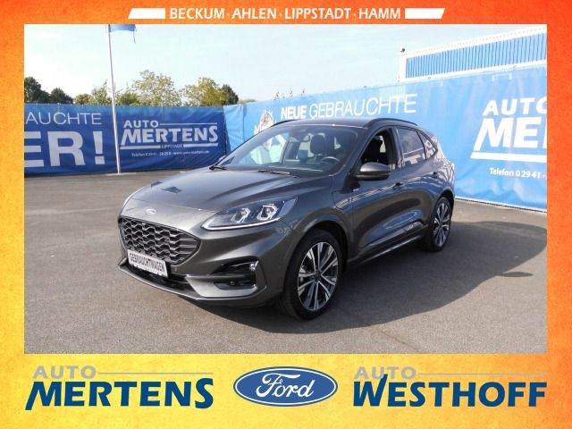 Kuga