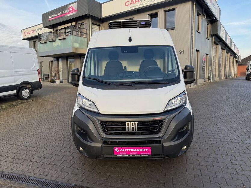 Ducato