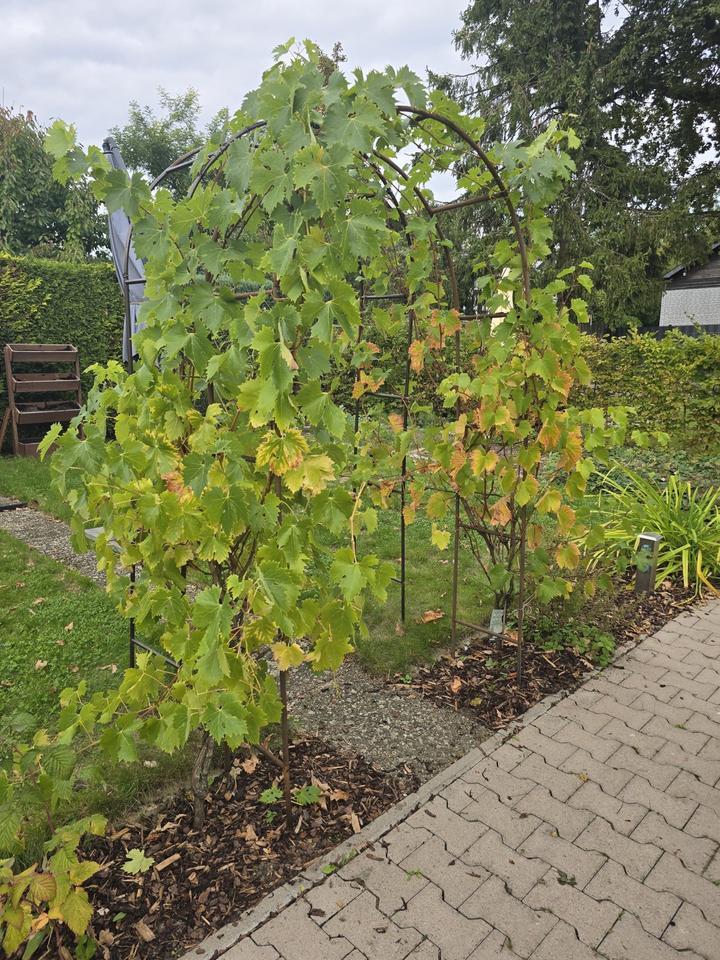 Moderne DG-Wohnung mit Garten im Energieeffizienzhaus (KfW 55) zimmer