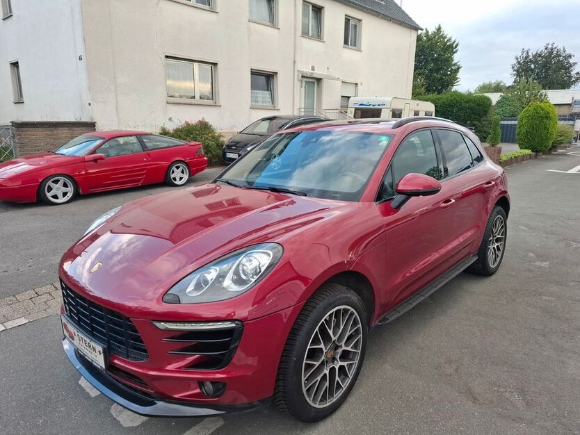 Macan