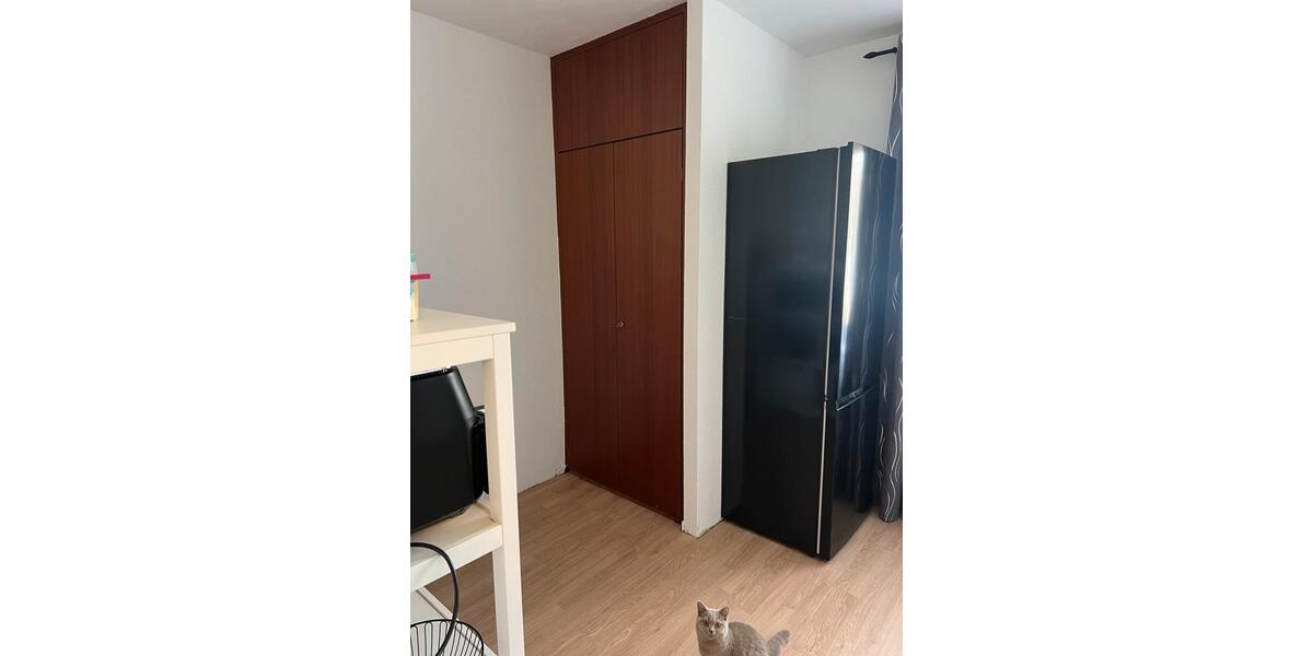 Etagenwohnung Menden (Sauerland) Bösperde - 2 Zimmer, 60 m&sup2;, 530&euro; | Angebot:26337619