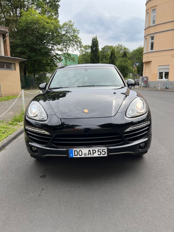 Cayenne