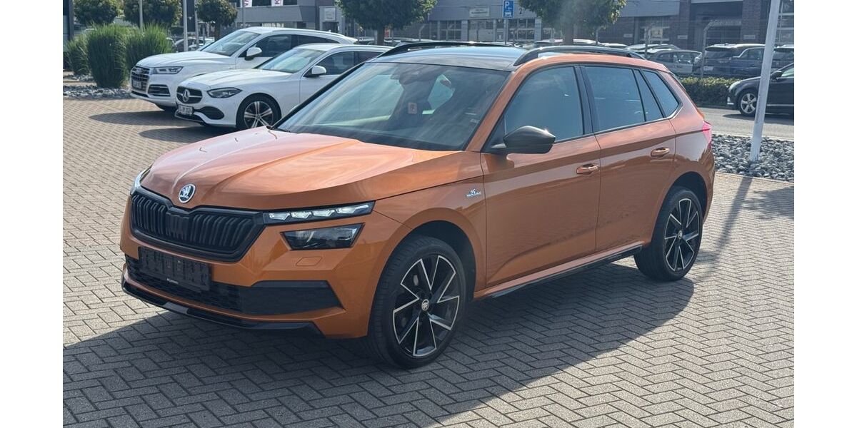 Skoda Kamiq 130.200 km 16.900 &euro; Werl 59457