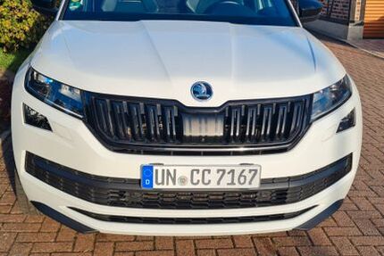 Skoda Kodiaq 160.000 km 22.000 € Unna 59427