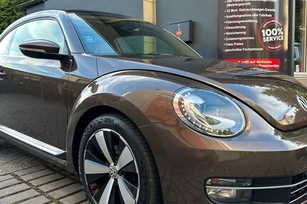 VW Beetle