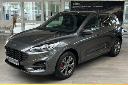Ford Kuga 17.030 km 29.490 € Beckum 59269