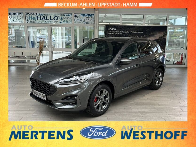 Ford Kuga 17.030 km 29.490 € Beckum 59269