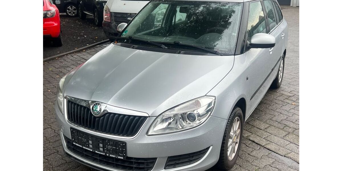 Skoda Fabia 206.700 km 2.690 € Ahlen 59227