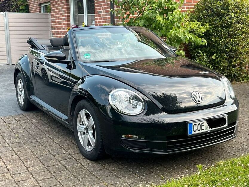 Beetle