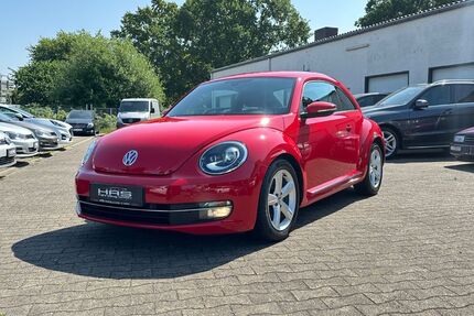 VW Beetle