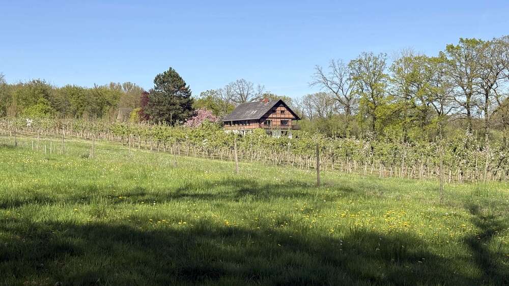 Einfamilienhaus Oelde - 6 Zimmer, 250 m&sup2;, 985.000&euro; | Angebot:26398597