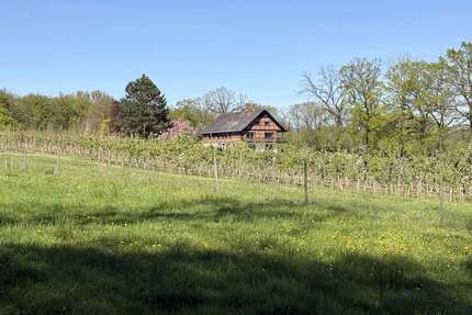 Haus Oelde - 6 Zimmer, 250 m&sup2;, 985.000&euro; | Angebot:26398597