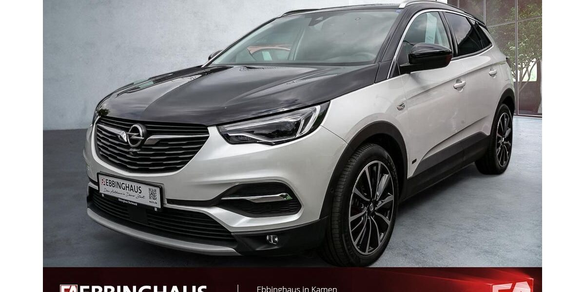 Opel Grandland (X) 47.033 km 18.999 &euro; Kamen 59174