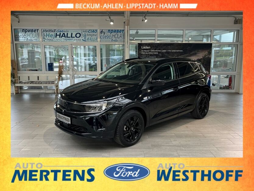 Opel Grandland (X) 31.173 km 22.880 € Beckum 59269