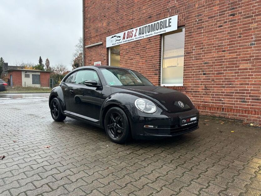 Beetle