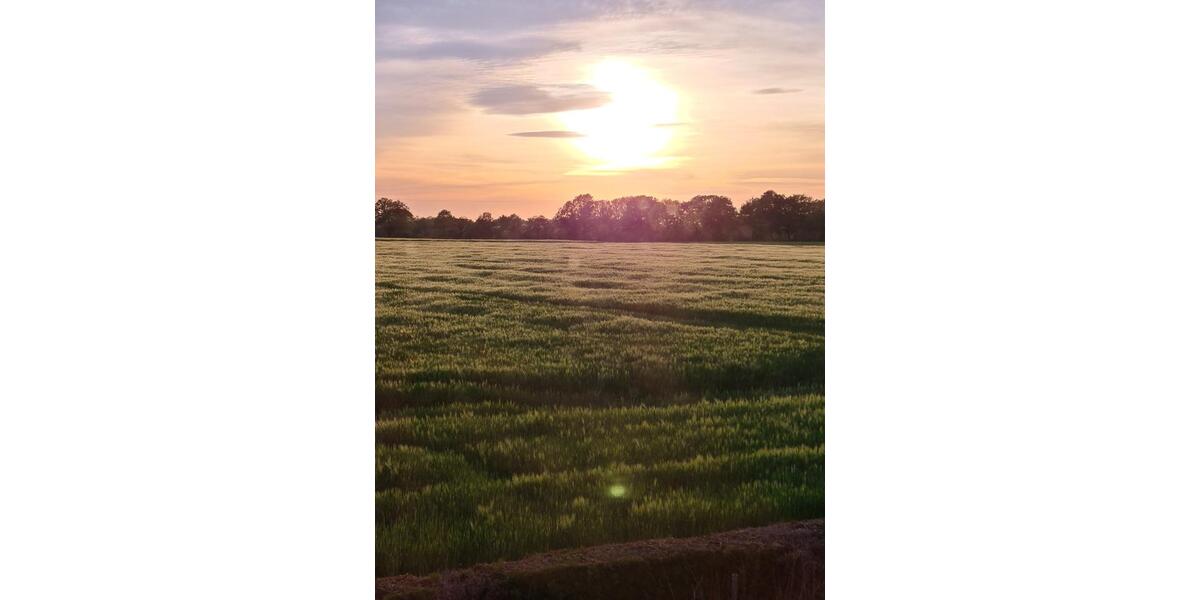 Einfamilienhaus Ennigerloh - 10 Zimmer, 250 m&sup2;, 650.000&euro; | Angebot:25380800