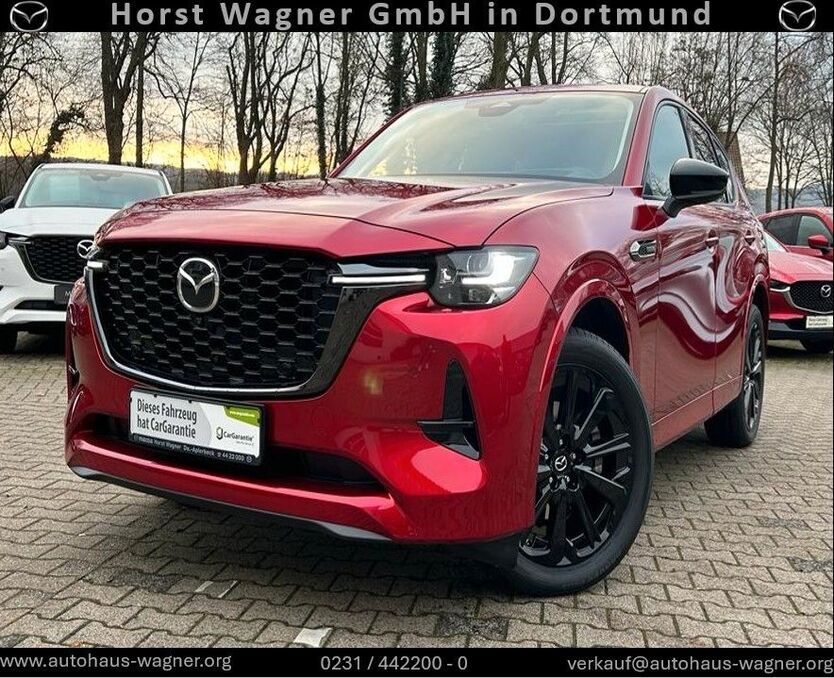 CX-60